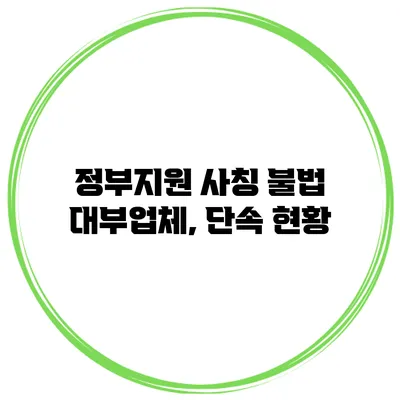 정부지원 사칭 불법 대부업체, 단속 현황